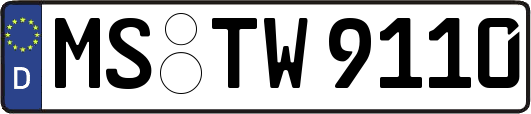 MS-TW9110
