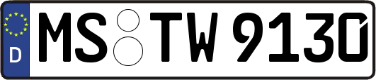 MS-TW9130