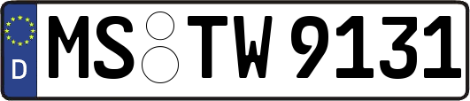 MS-TW9131