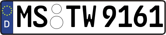 MS-TW9161