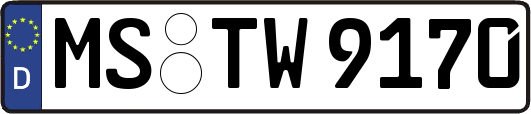 MS-TW9170