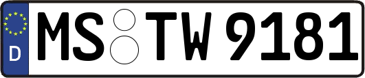 MS-TW9181