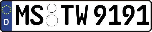 MS-TW9191
