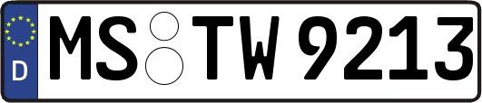 MS-TW9213