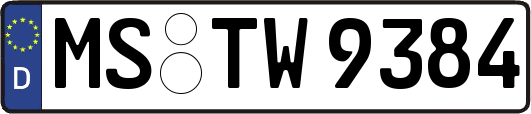 MS-TW9384