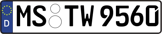 MS-TW9560