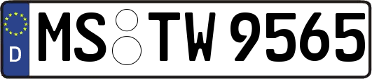 MS-TW9565