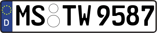 MS-TW9587