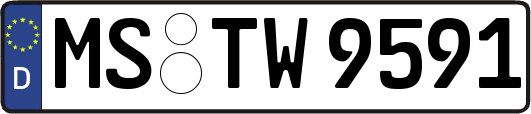 MS-TW9591