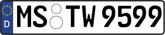MS-TW9599
