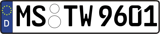 MS-TW9601