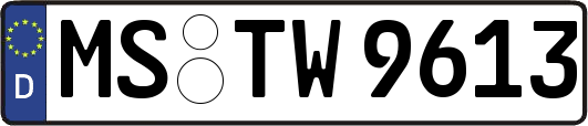 MS-TW9613