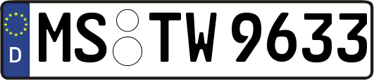 MS-TW9633