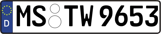 MS-TW9653