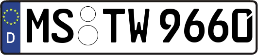MS-TW9660