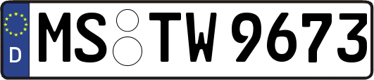 MS-TW9673