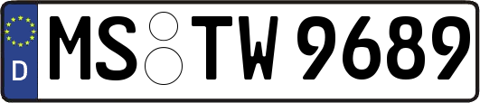 MS-TW9689