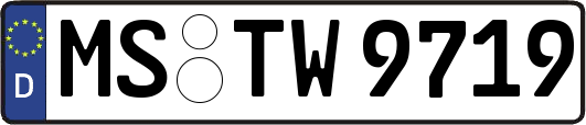 MS-TW9719