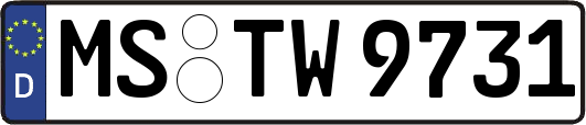 MS-TW9731