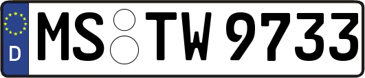 MS-TW9733