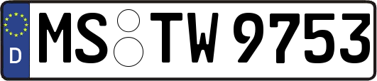 MS-TW9753