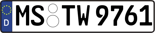 MS-TW9761