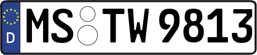 MS-TW9813