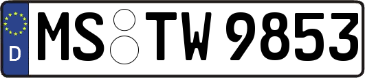 MS-TW9853