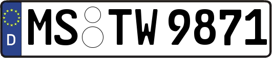 MS-TW9871