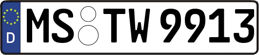 MS-TW9913