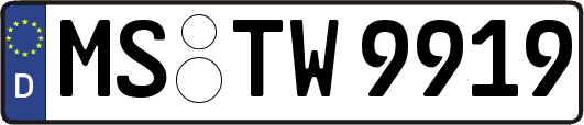 MS-TW9919