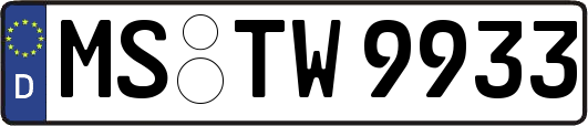 MS-TW9933