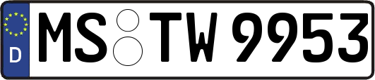 MS-TW9953