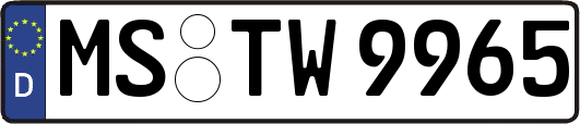 MS-TW9965
