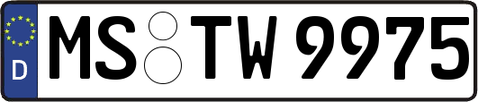 MS-TW9975