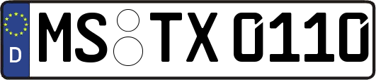 MS-TX0110