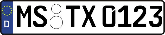 MS-TX0123