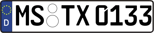 MS-TX0133