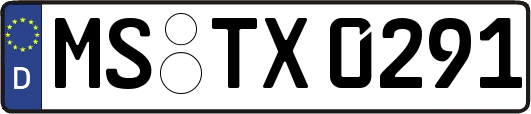 MS-TX0291