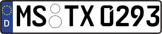 MS-TX0293