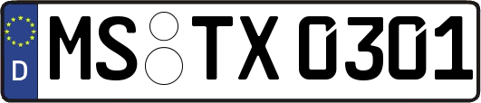 MS-TX0301