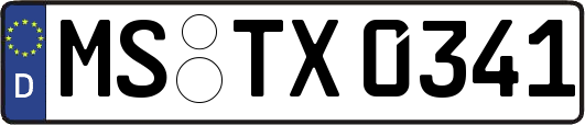 MS-TX0341