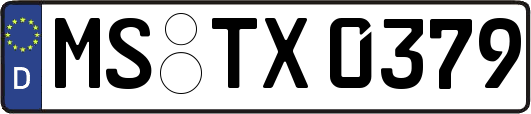 MS-TX0379