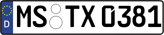 MS-TX0381