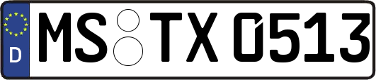 MS-TX0513