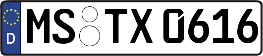 MS-TX0616