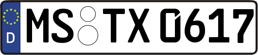 MS-TX0617
