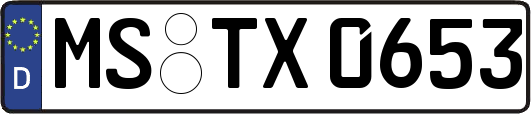 MS-TX0653