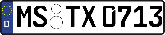 MS-TX0713
