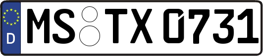 MS-TX0731